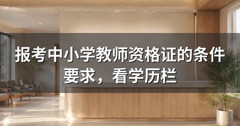 报考中小学教师资格证的条件要求,看学历栏