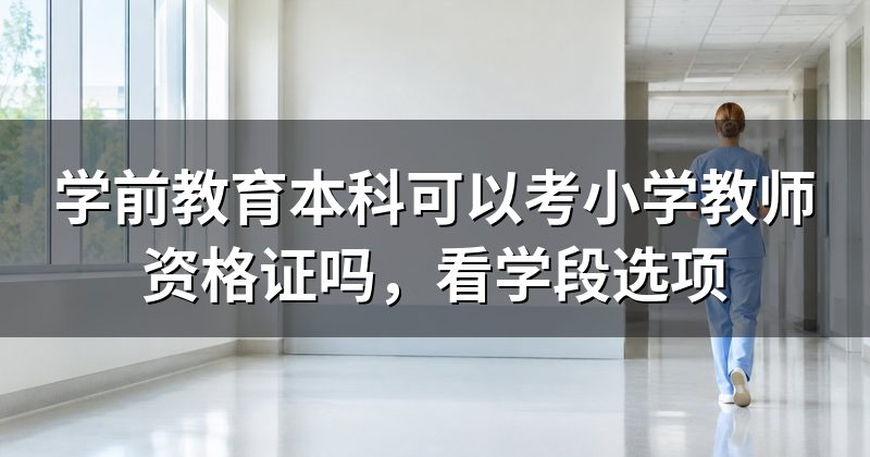 学前教育本科可以考小学教师资格证吗,看学段选项