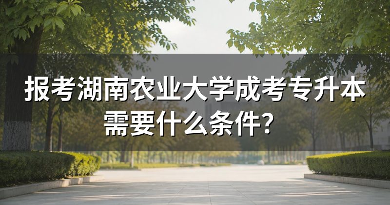 报考湖南农业大学成考专升本需要什么条件?