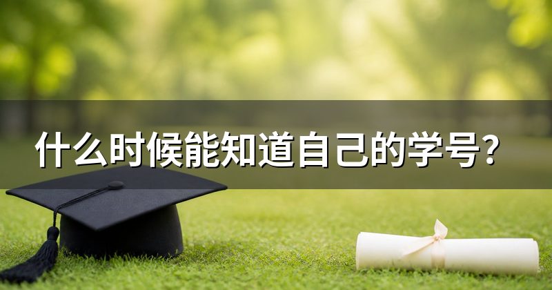 什么时候能知道自己的学号?