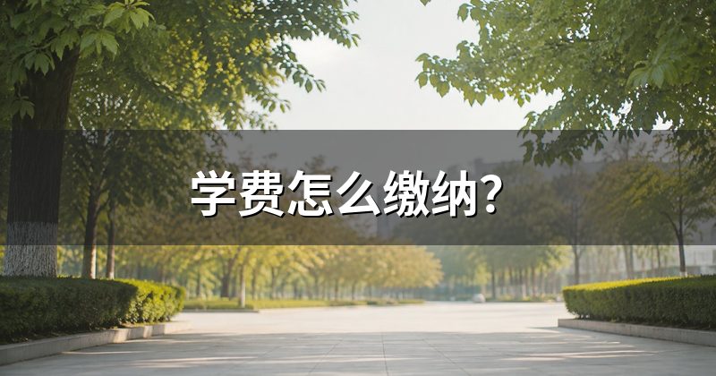 学费怎么缴纳?