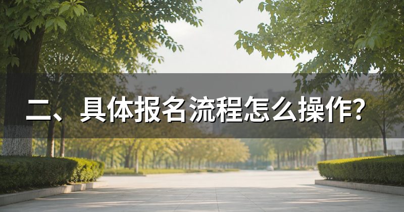 二、具体报名流程怎么操作？
