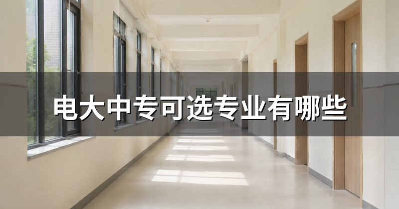 电大中专可选专业有哪些