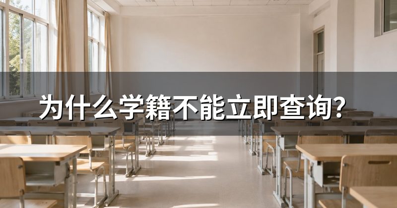 为什么学籍不能立即查询?