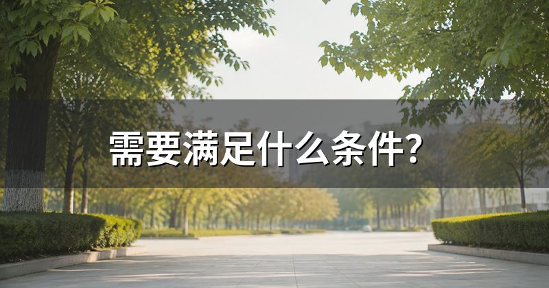 需要满足什么条件?